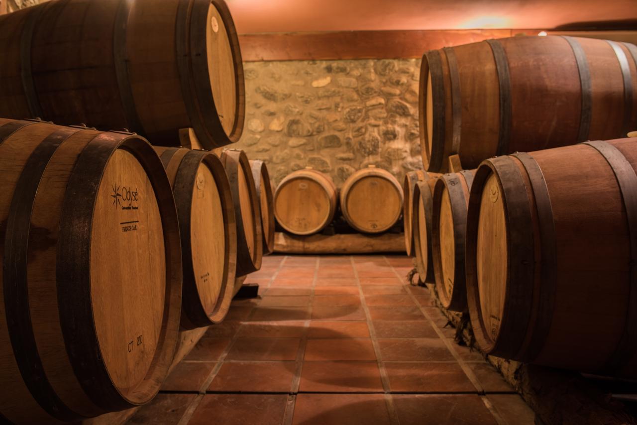 La Casa De La Bodega - Wine Boutique Hotel كفايات المظهر الخارجي الصورة